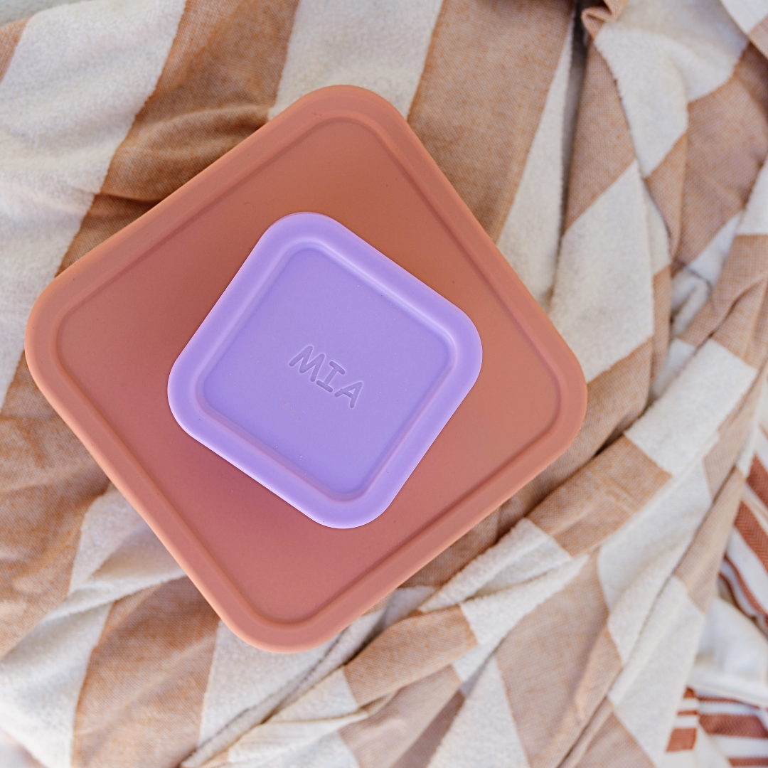 Lilac Snack Container