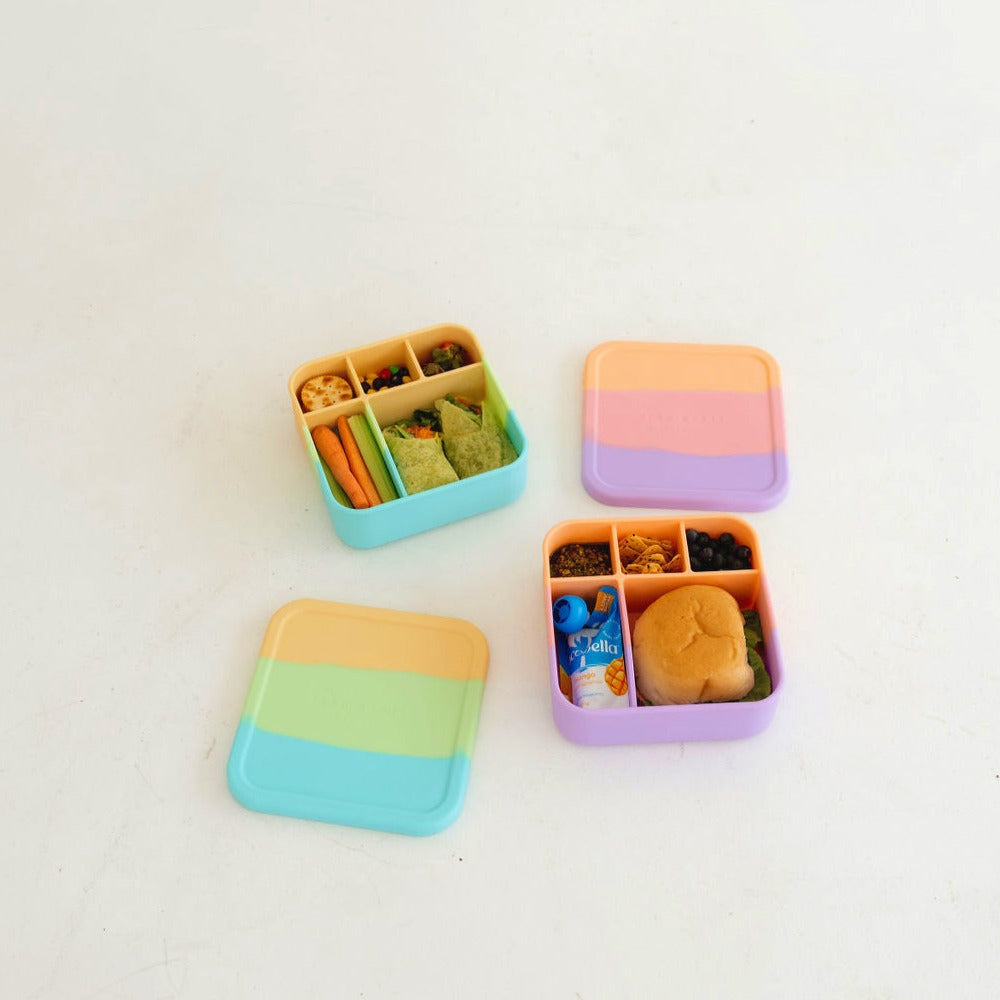 Splice BIG Bento Lunchbox