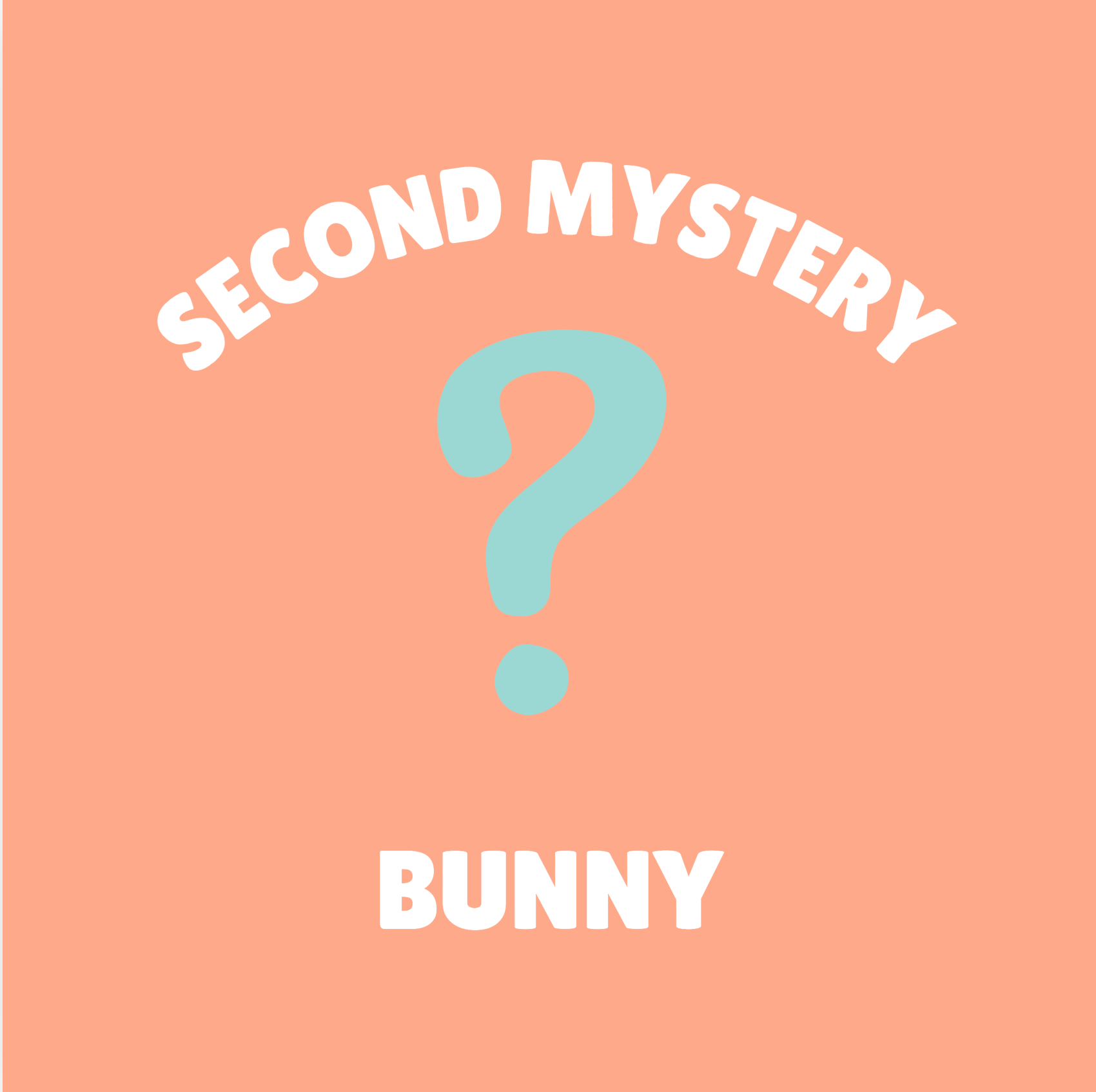 Second Mystery Bunny