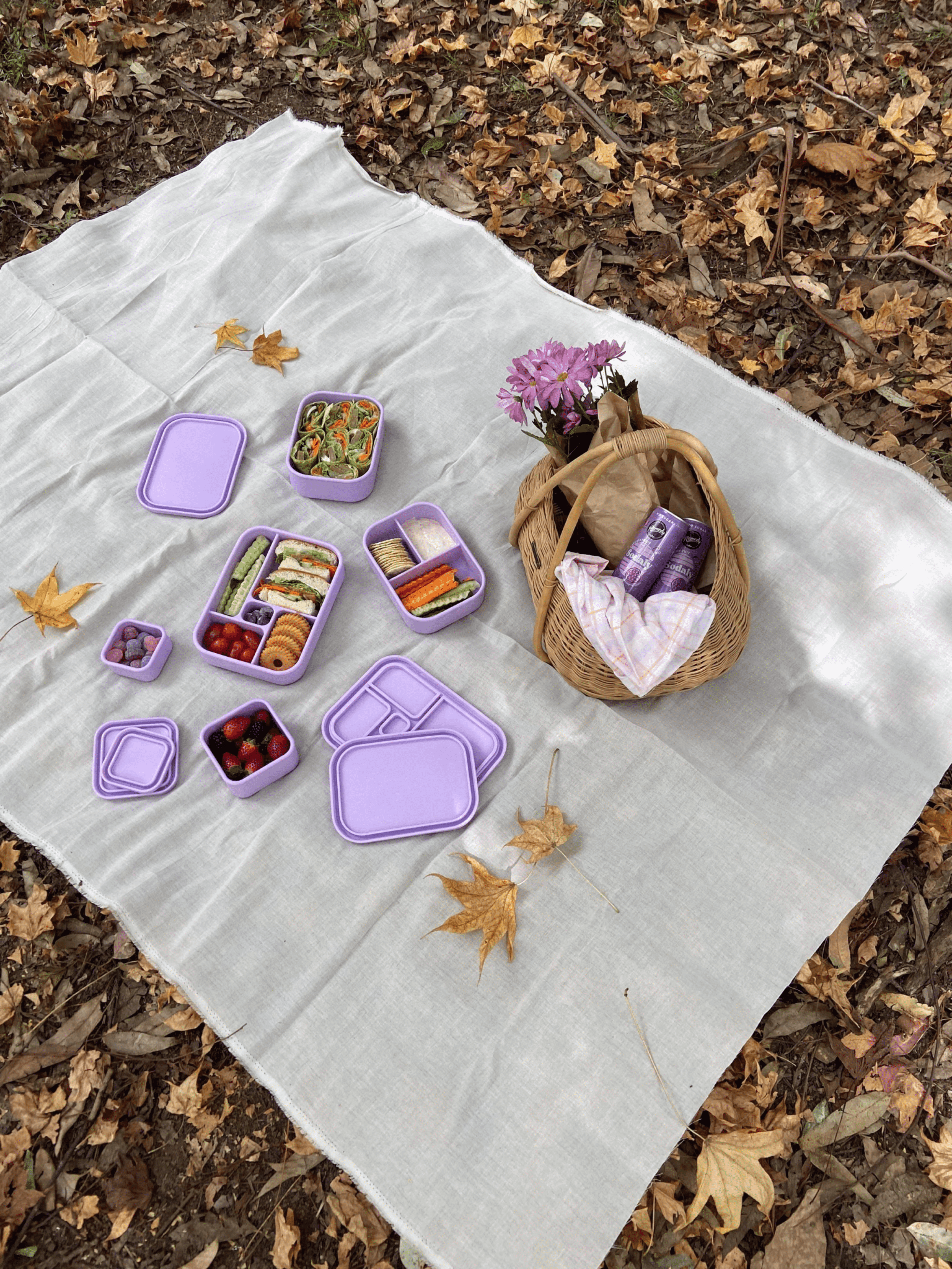 Lilac Bento Nibble