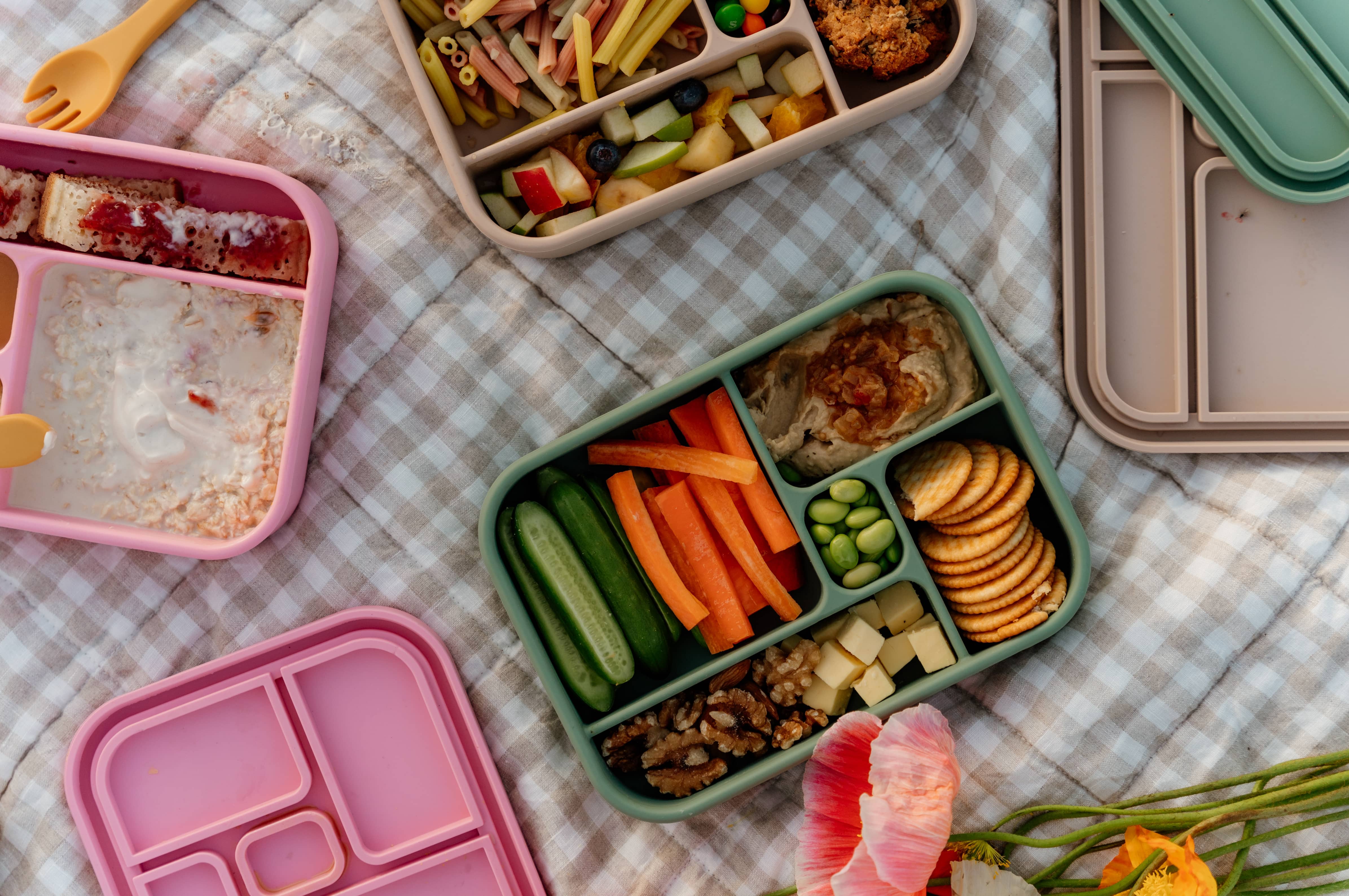 Sage Bento Lunchbox