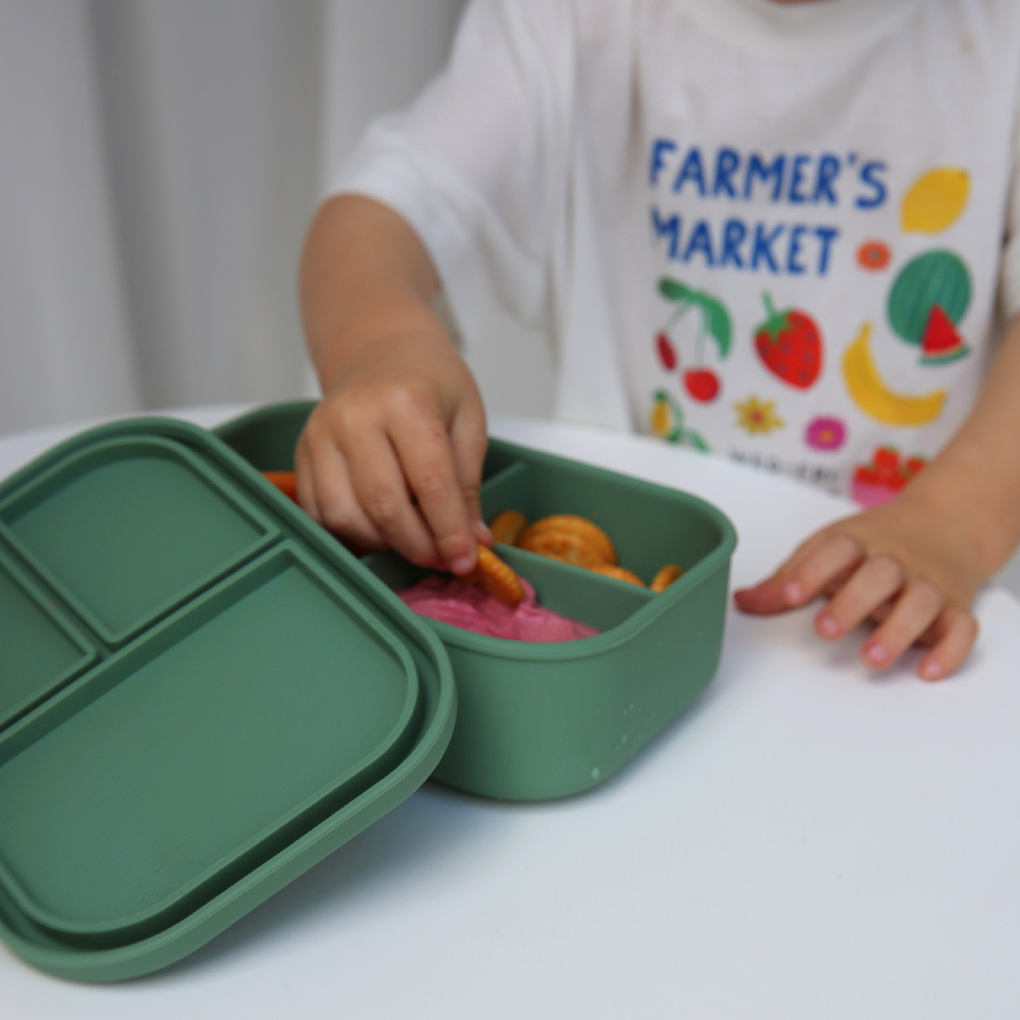 Sage Bento Nibble