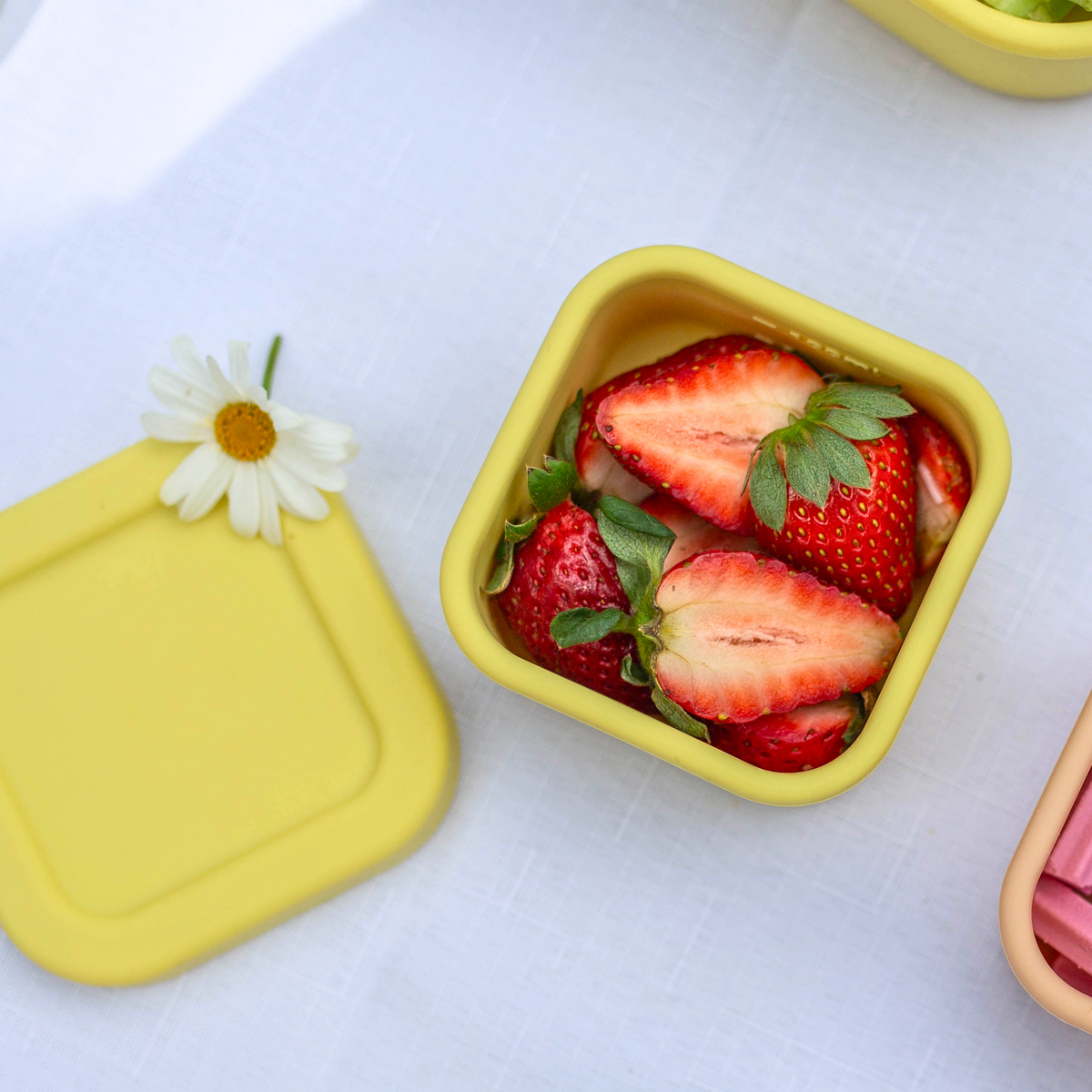 Lemon Container Lemon Mini Container