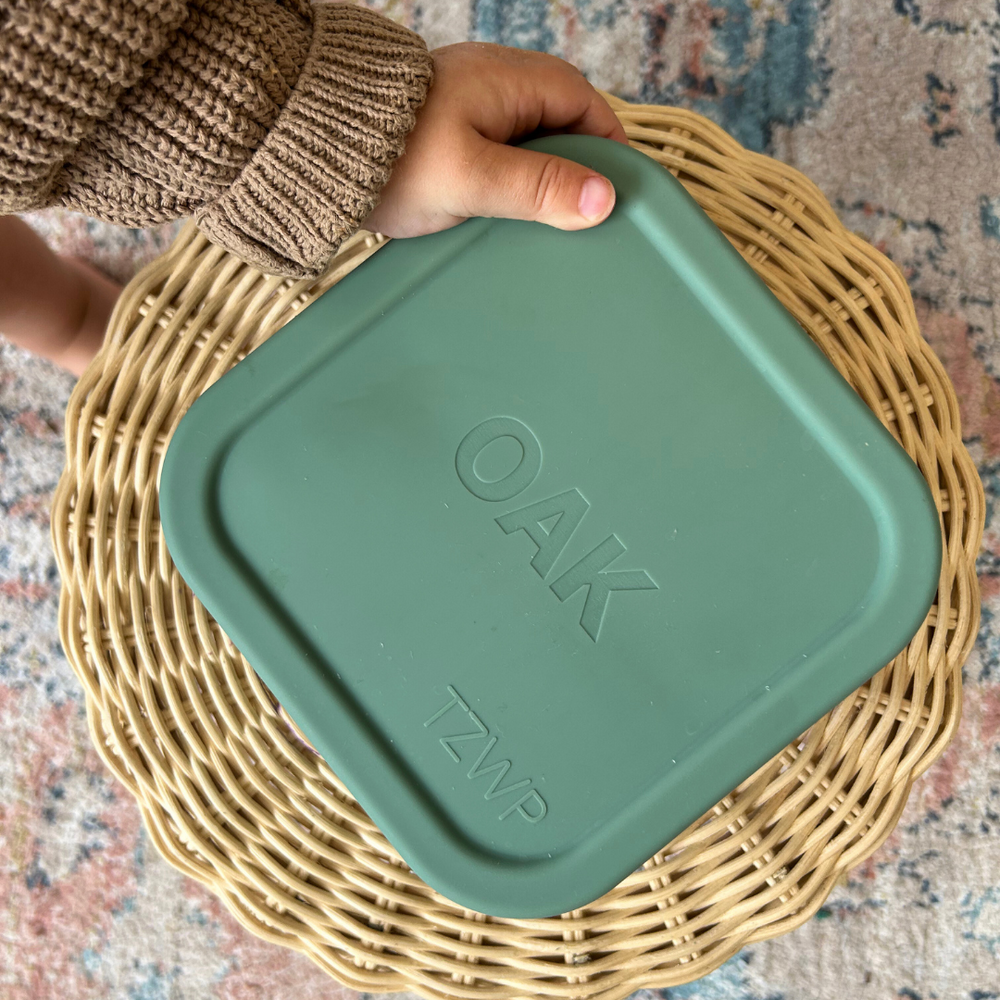 Sage Bento Snack Box
