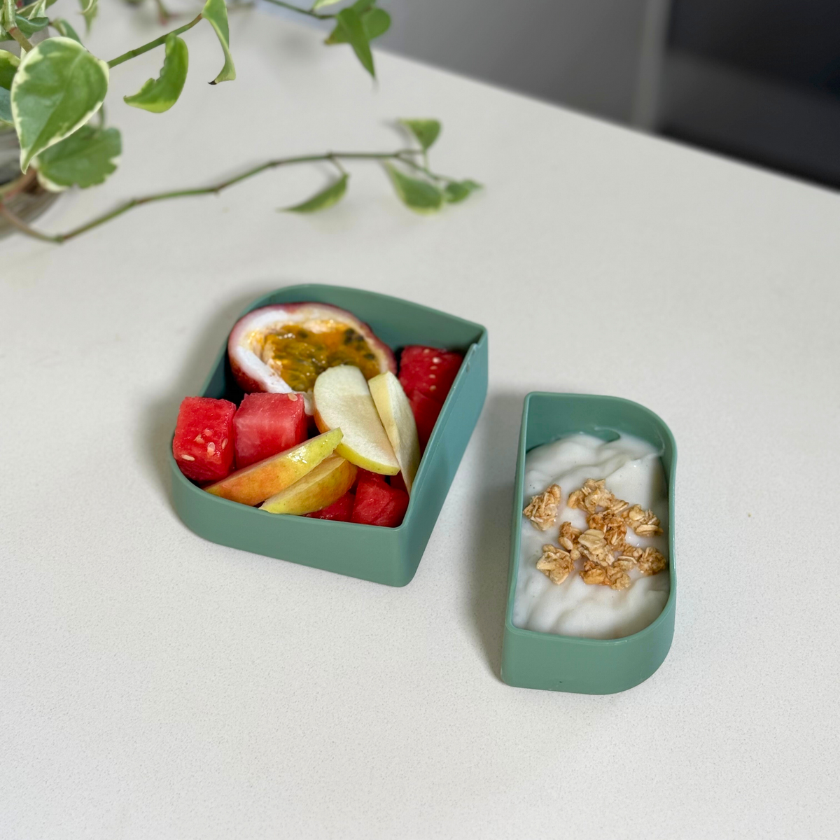 Rectangle Shape Deviders Sage Rectangle Dividers