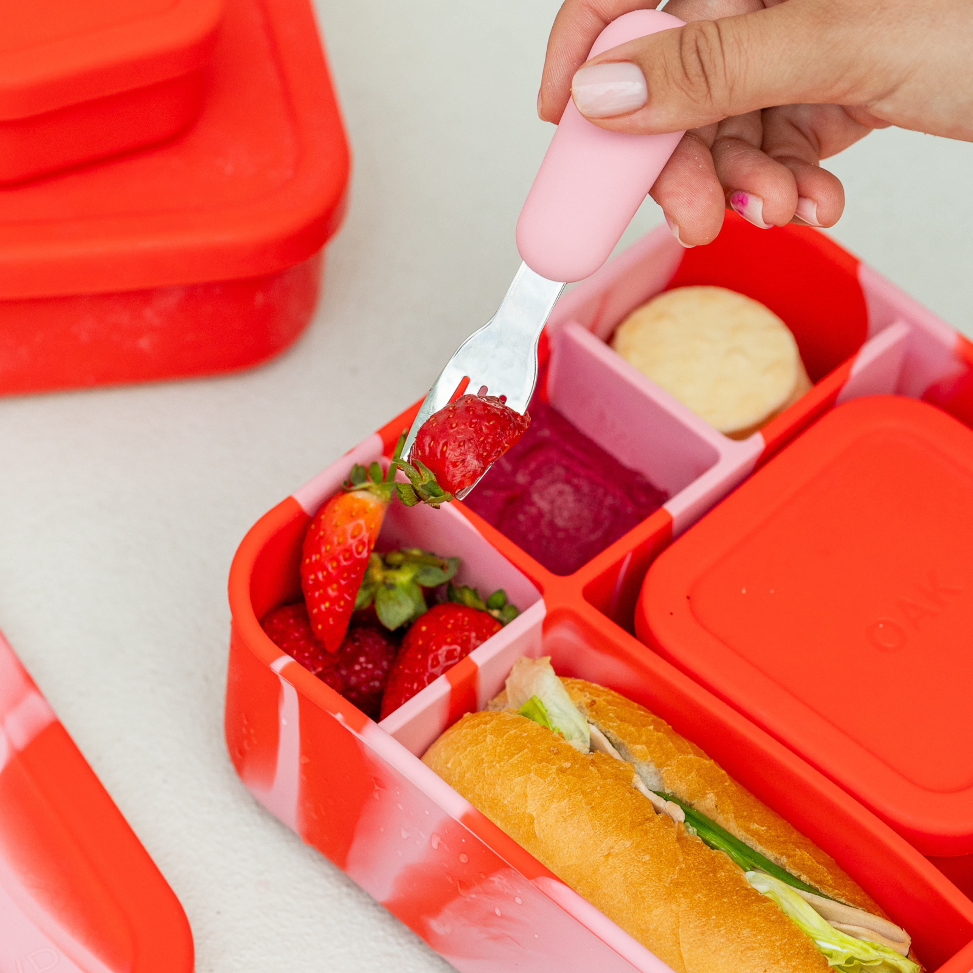 Rose Jam BIG Bento Lunchbox