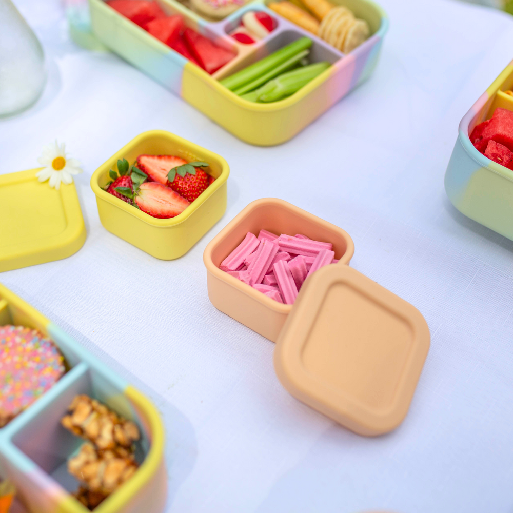 Mini Container Accessories Coral Mini Container