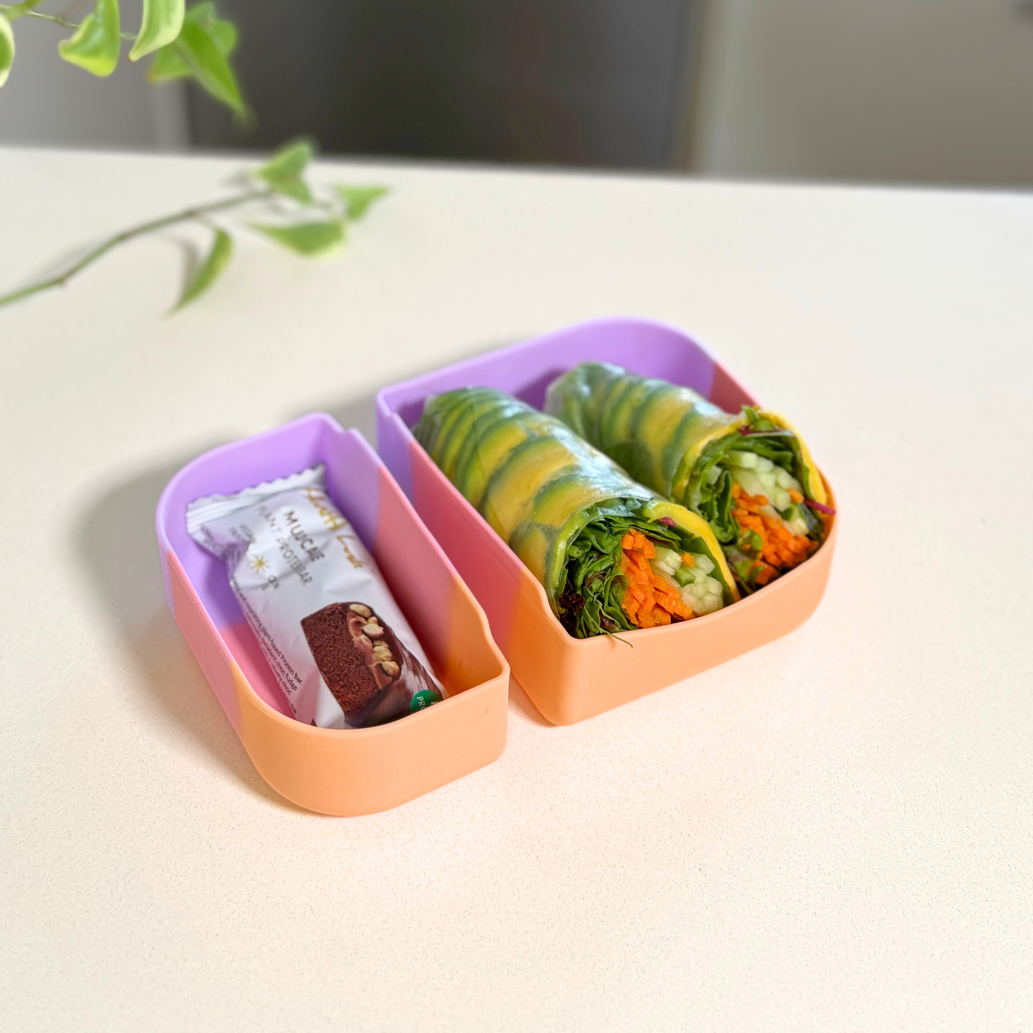 Paddle Pop Rectangle Dividers