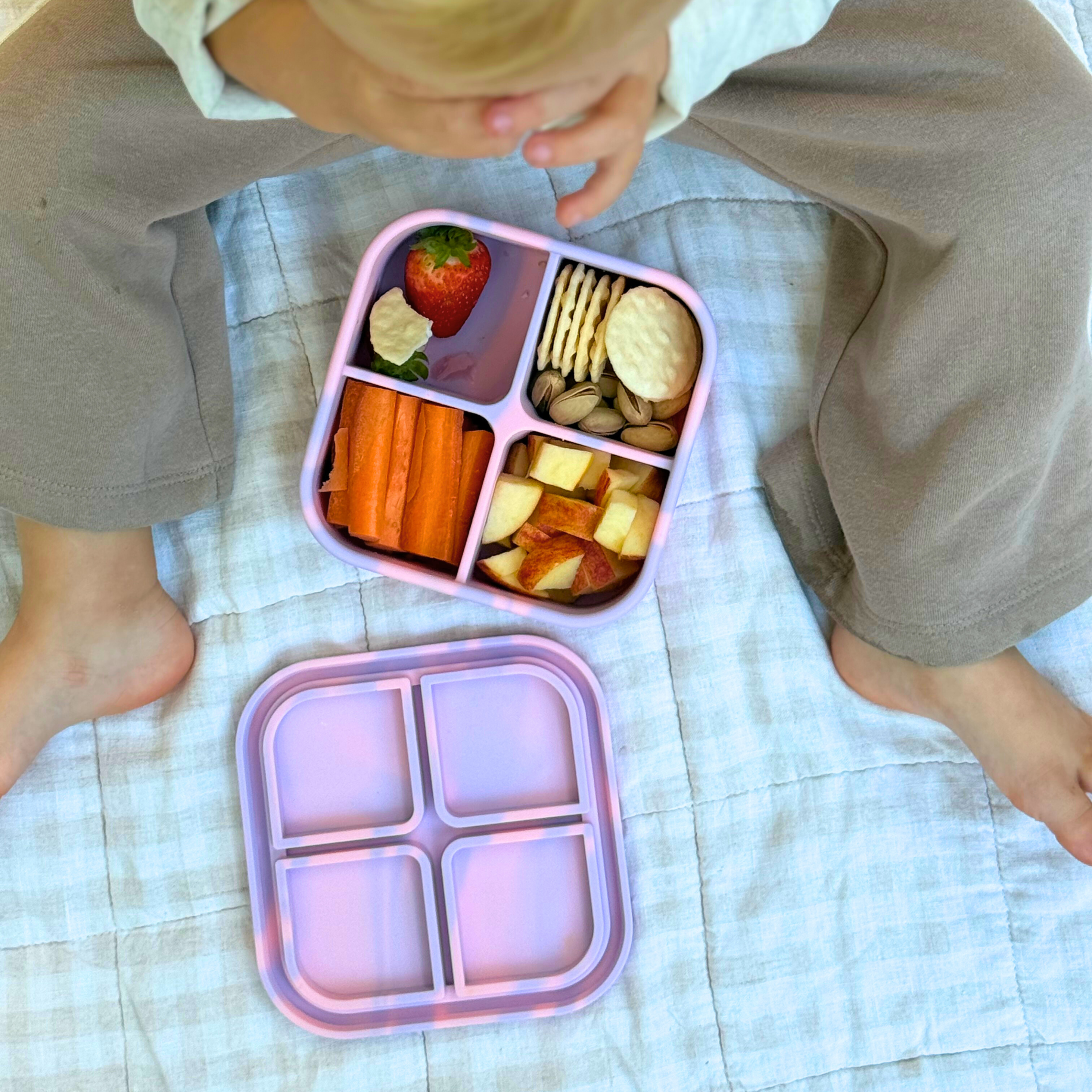 Blush Bento Snack