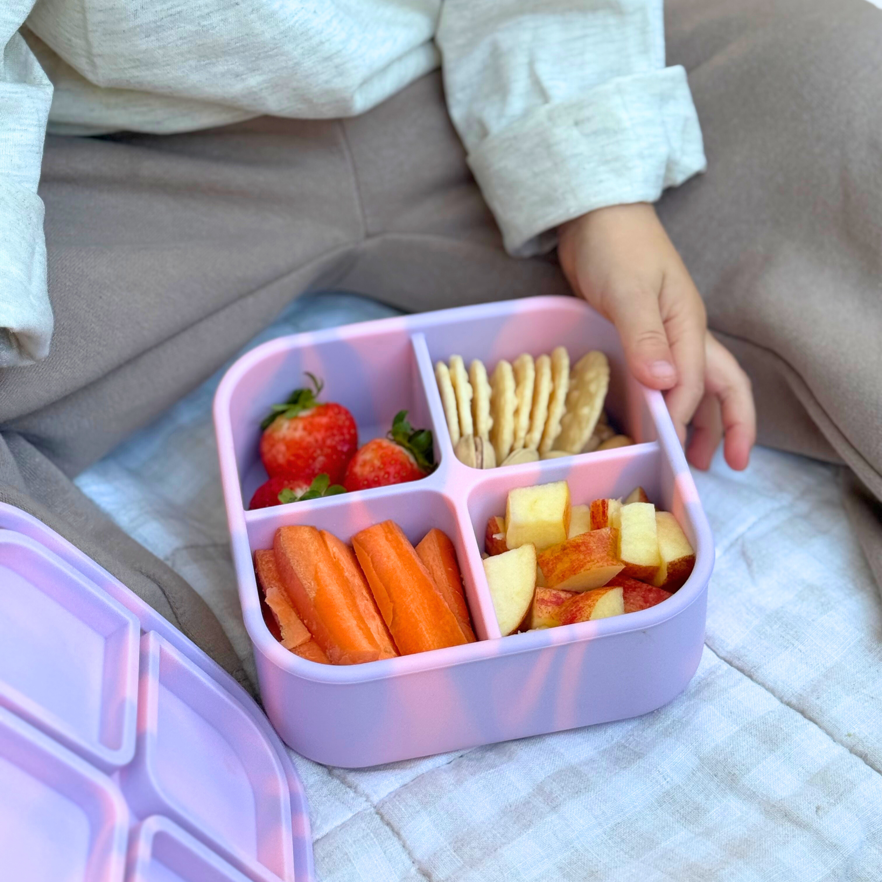 Blush Bento Snack