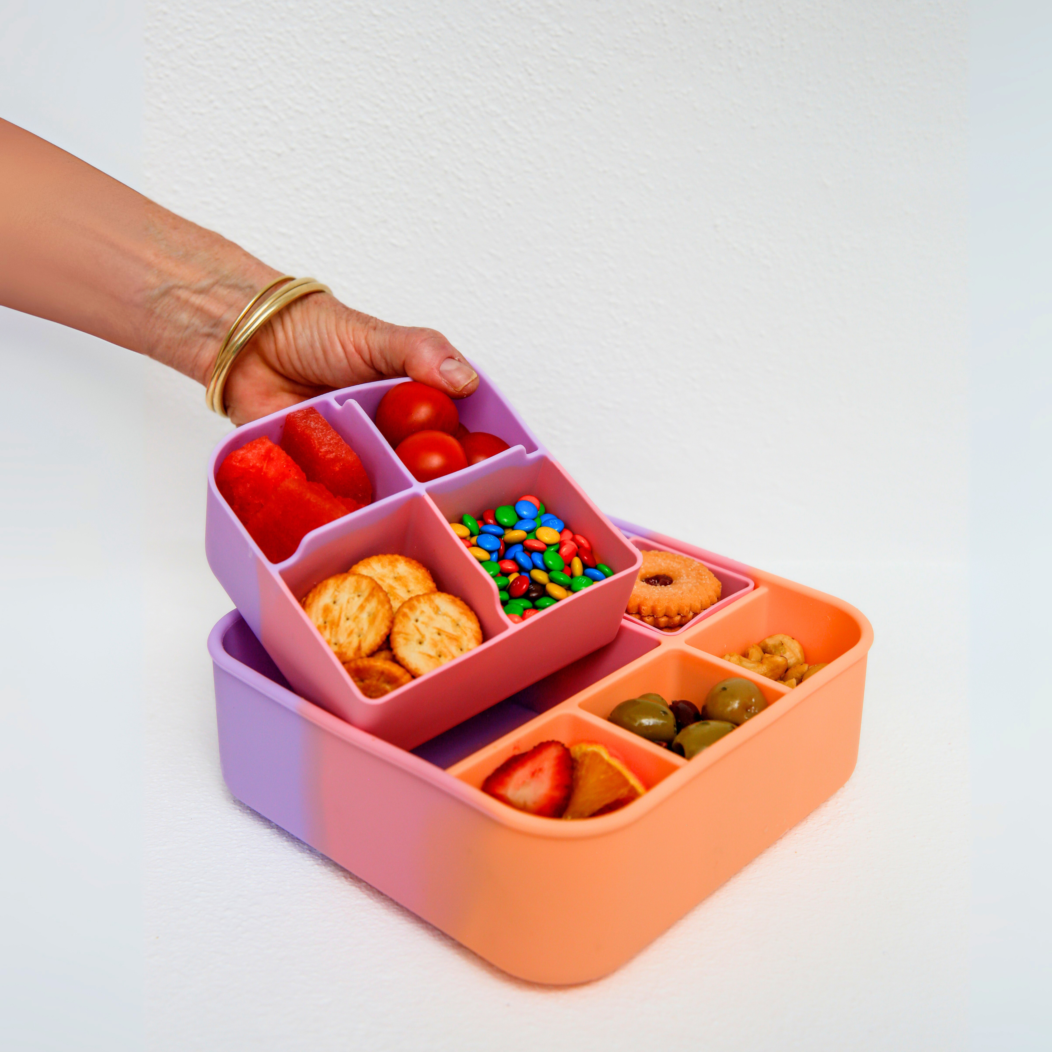 Paddle Pop Big Bento Dividers