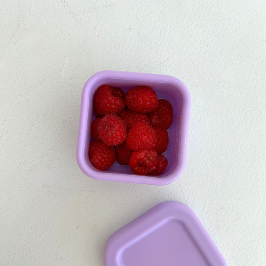 Lilac Mini Container