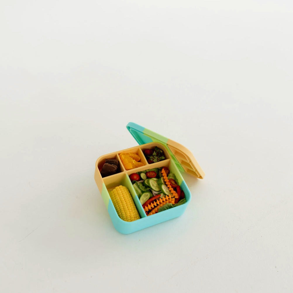 Splice BIG Bento Lunchbox