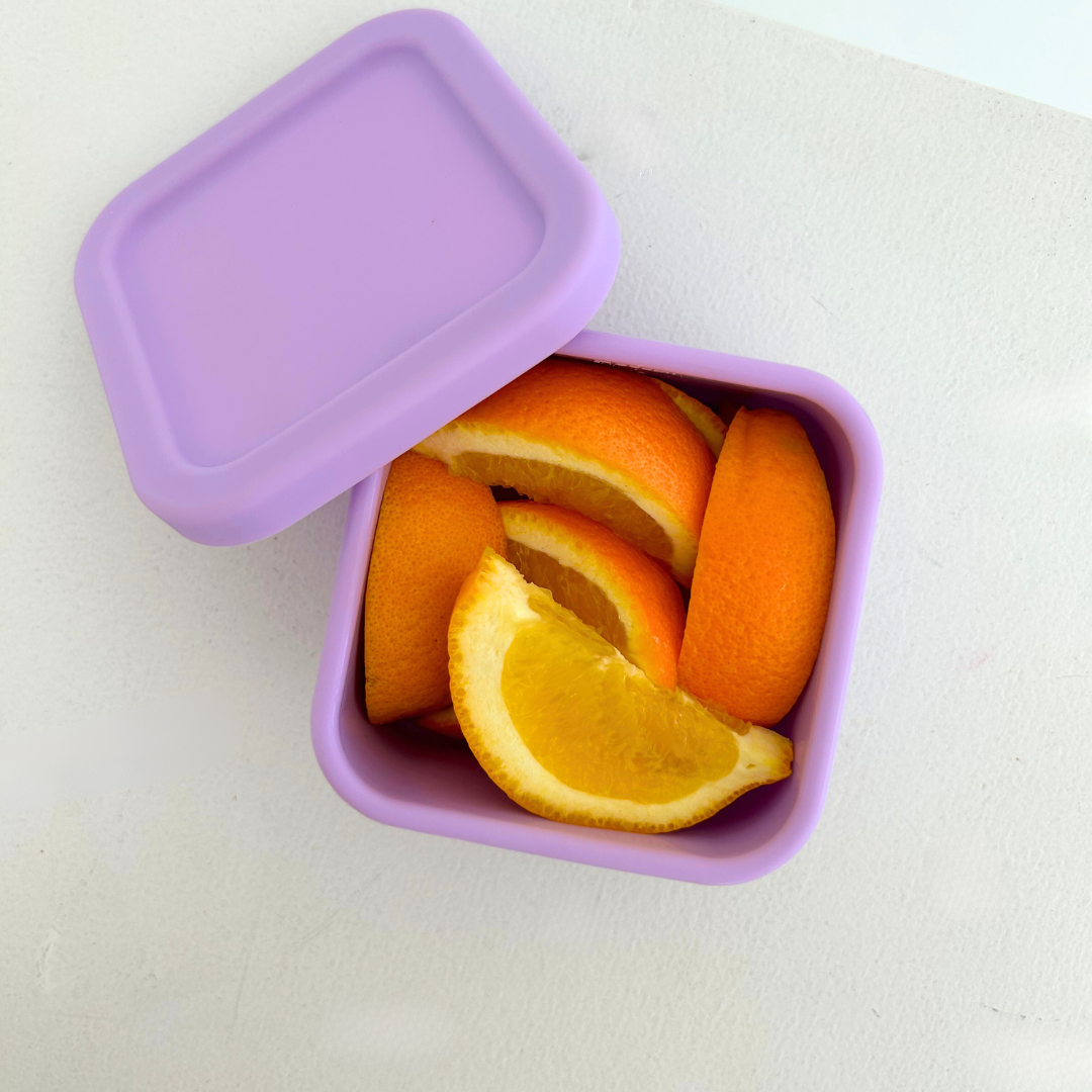 Lilac Snack Container