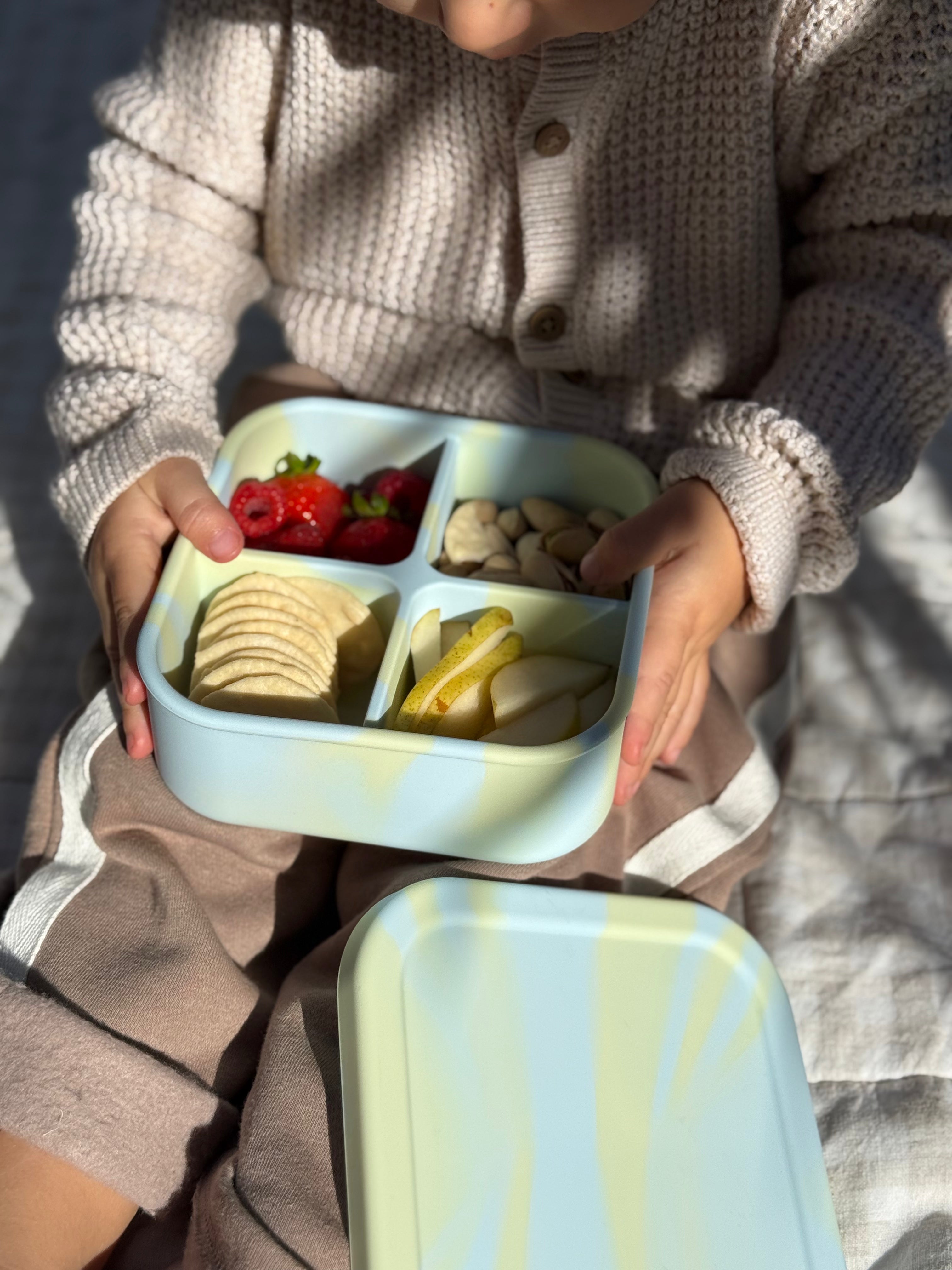 Mint Bento Snack Box