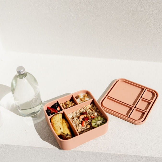 Dusty Pink BIG Bento Lunchbox