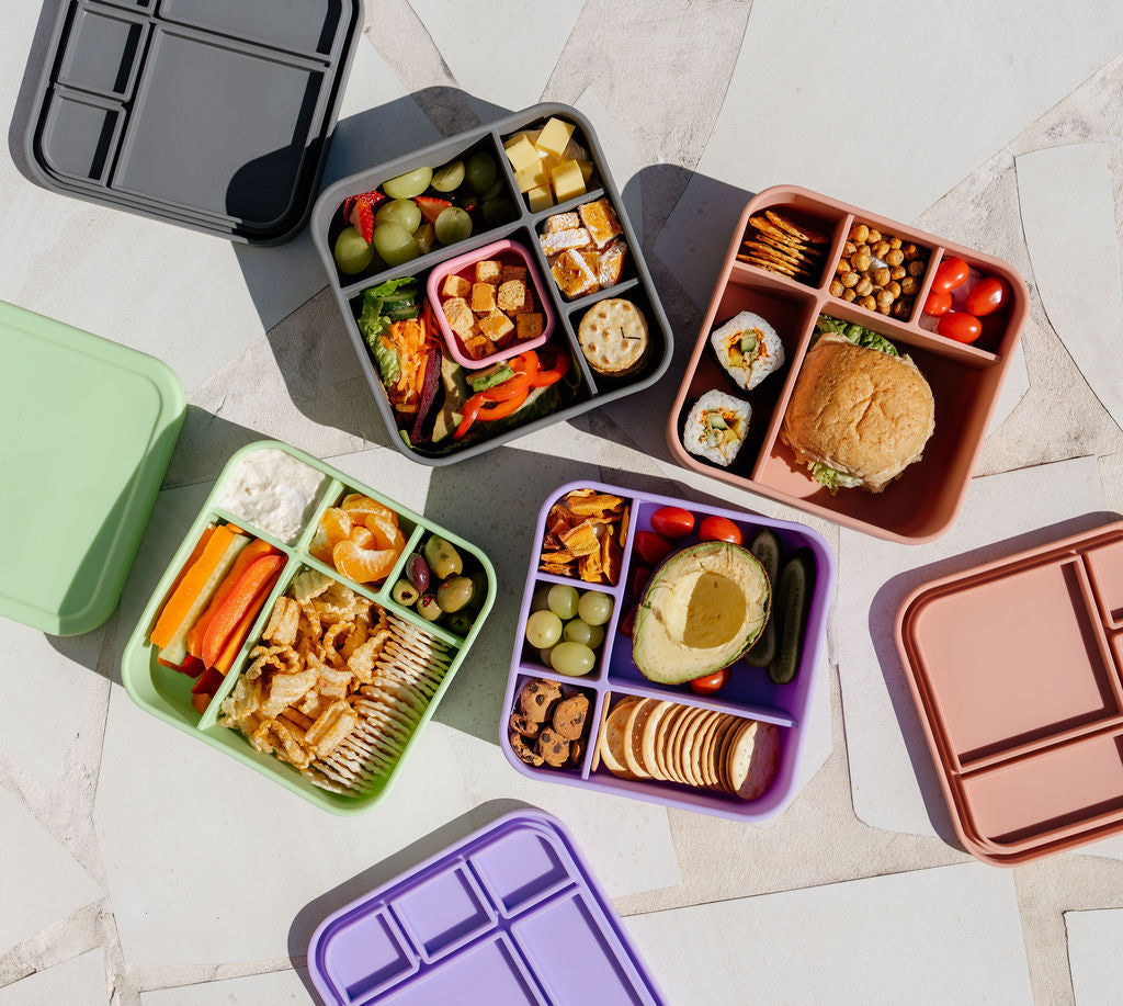 Lilac BIG Bento Lunchbox